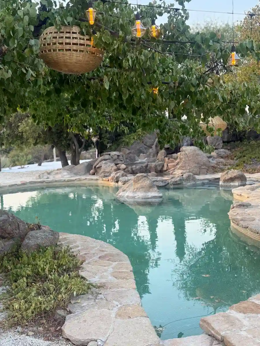 Piscina naturalizada del complejo rural Terra Aura