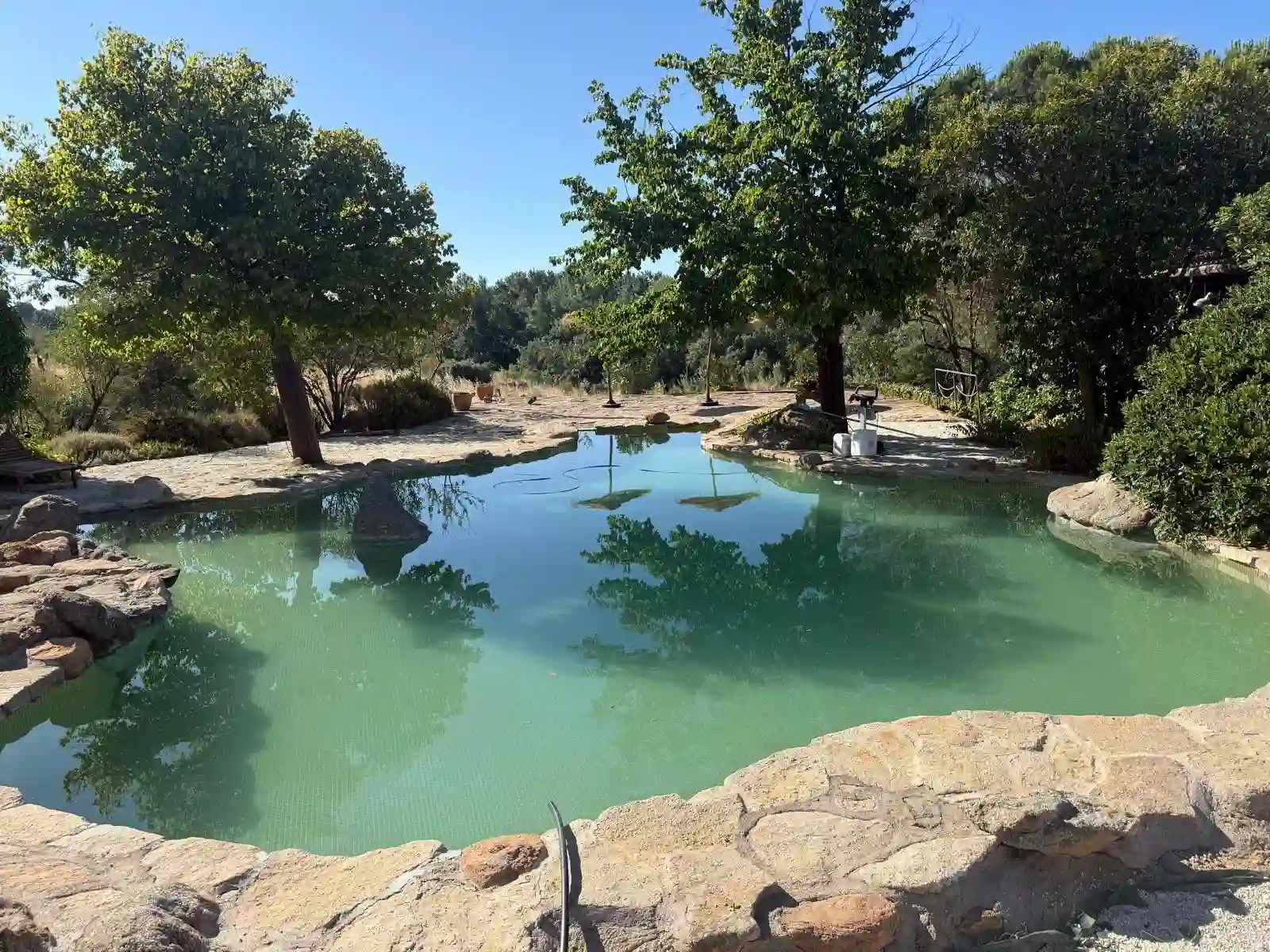 Piscina naturalizada de Terra Aura rodeada de piedra y vegetación