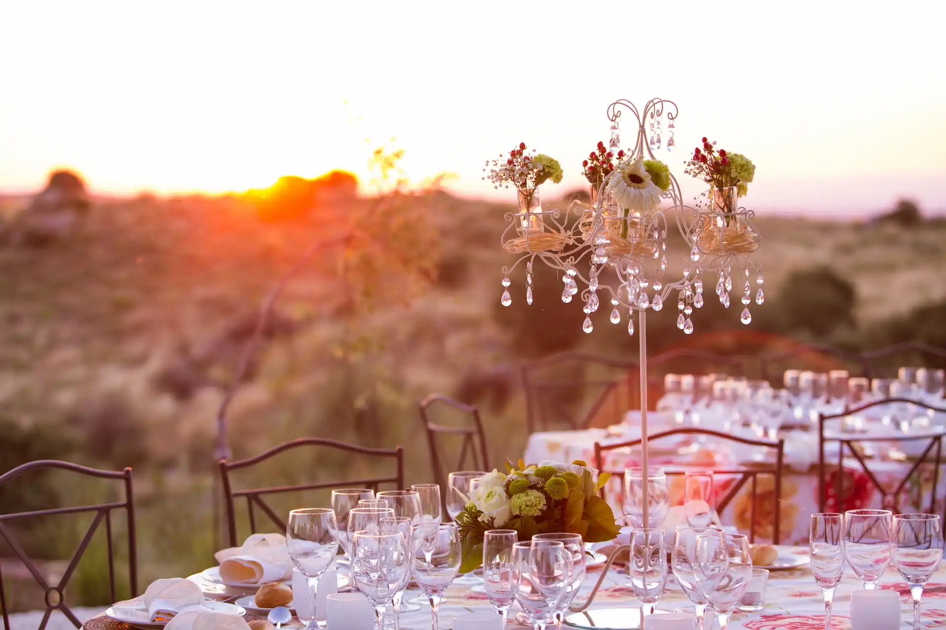 Celebración al atardecer en los jardines de Terra Aura