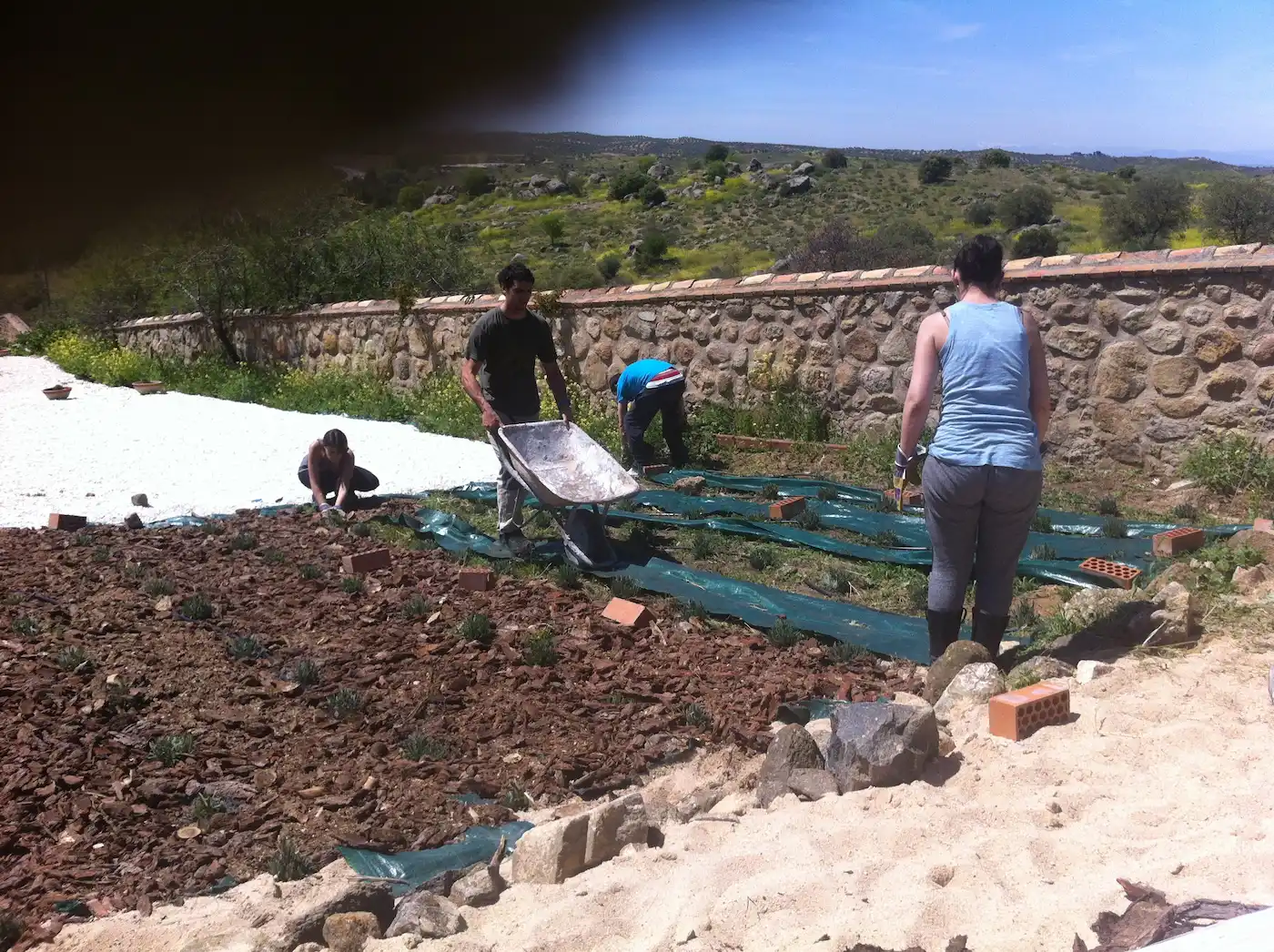 Personas trabajando en la transformación de los jardines de Terra Aura en Toledo